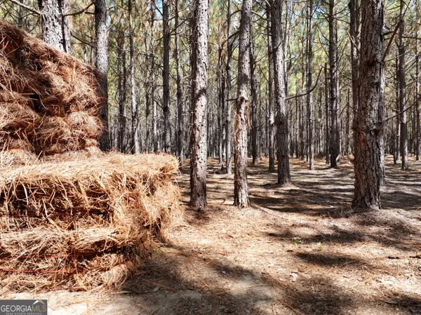 $1,100,000 | 0 Highway 112 Abbeville Ga 31001, Pineview, GA 31071