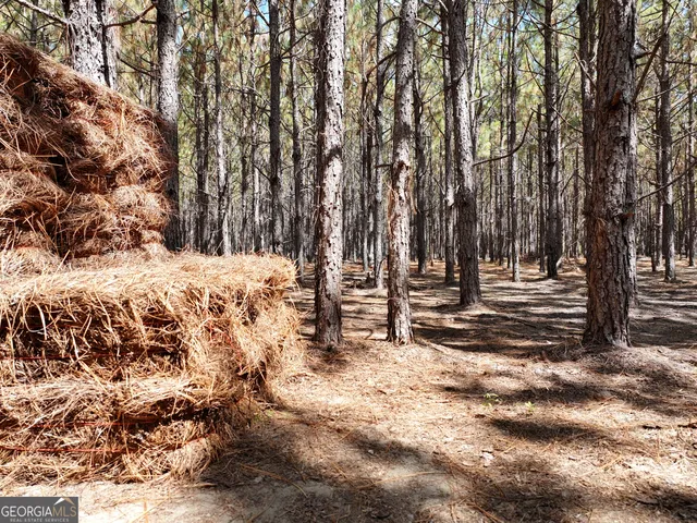 $1,100,000 | 0 Highway 112 Abbeville Ga 31001, Pineview, GA 31071