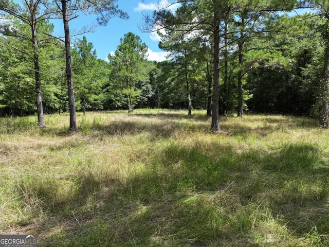 $1,100,000 | 0 Highway 112 Abbeville Ga 31001, Pineview, GA 31071