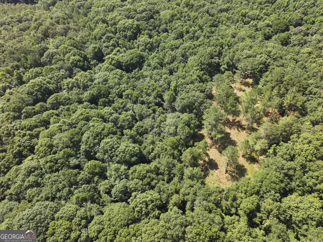 $1,100,000 | 0 Highway 112 Abbeville Ga 31001, Pineview, GA 31071