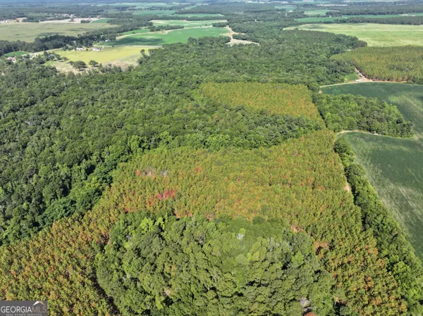 $1,100,000 | 0 Highway 112 Abbeville Ga 31001, Pineview, GA 31071
