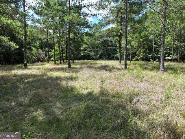 $1,100,000 | 0 Highway 112 Abbeville Ga 31001, Pineview, GA 31071