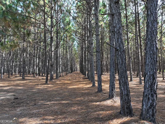 $1,100,000 | 0 Highway 112 Abbeville Ga 31001, Pineview, GA 31071