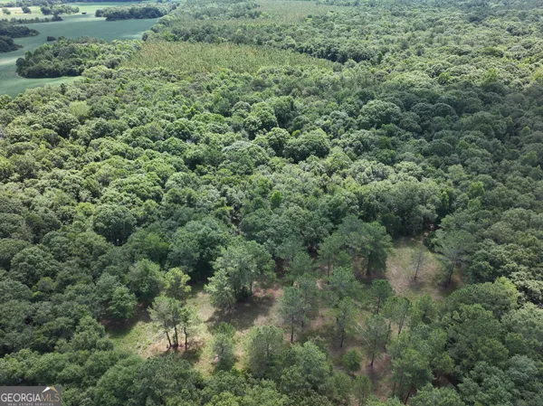$1,100,000 | 0 Highway 112 Abbeville Ga 31001, Pineview, GA 31071