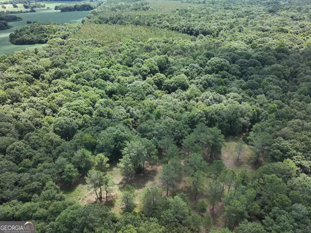 $1,100,000 | 0 Highway 112 Abbeville Ga 31001, Pineview, GA 31071