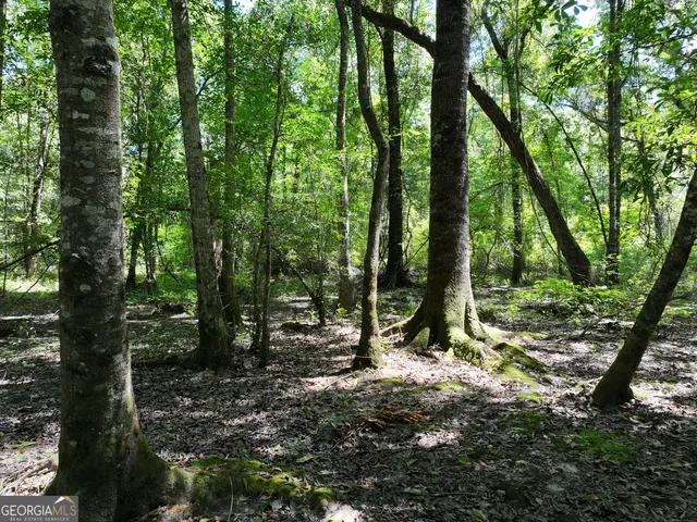 $1,100,000 | 0 Highway 112 Abbeville Ga 31001, Pineview, GA 31071