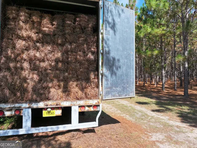 $1,100,000 | 0 Highway 112 Abbeville Ga 31001, Pineview, GA 31071