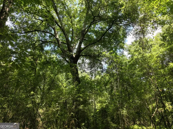 $1,100,000 | 0 Highway 112 Abbeville Ga 31001, Pineview, GA 31071