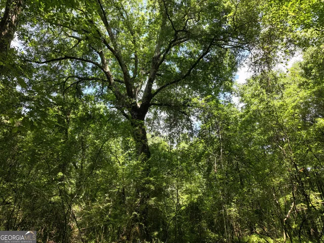 $1,100,000 | 0 Highway 112 Abbeville Ga 31001, Pineview, GA 31071