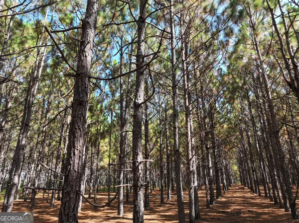 $1,100,000 | 0 Highway 112 Abbeville Ga 31001, Pineview, GA 31071