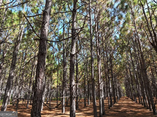 $1,100,000 | 0 Highway 112 Abbeville Ga 31001, Pineview, GA 31071