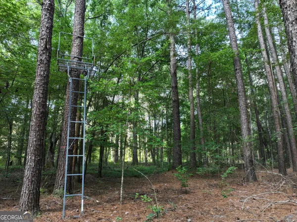 $1,100,000 | 0 Highway 112 Abbeville Ga 31001, Pineview, GA 31071