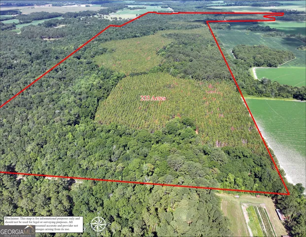 $1,100,000 | 0 Highway 112 Abbeville Ga 31001, Pineview, GA 31071