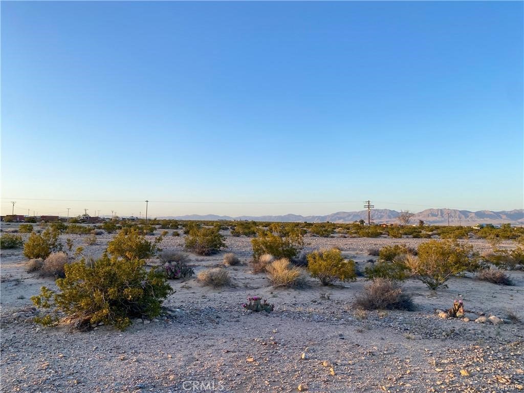 0 Pole Line Road Twentynine Palms, CA 92277 - Photo 10 of 12 a view of a dry yard with lots of trees