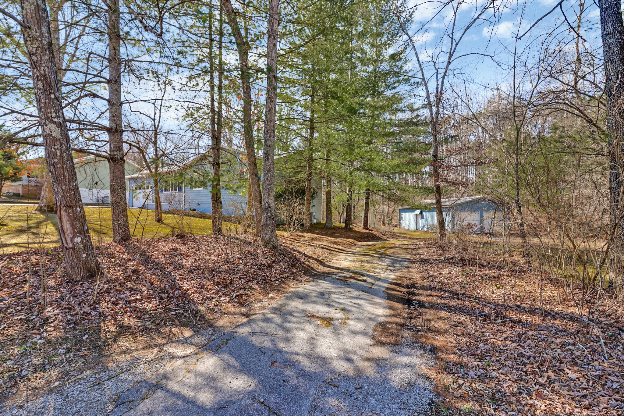 262 Mockingbird Drive Crossville, TN 38555 - Photo 34 of 41 a view of a yard with plants and trees