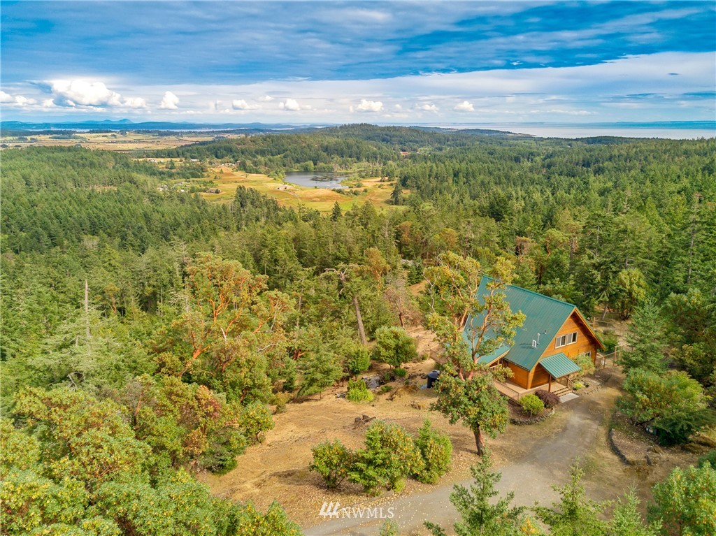 825 Julie Road Friday Harbor, WA 98250 - Photo 17 of 24 Gallery Image 17