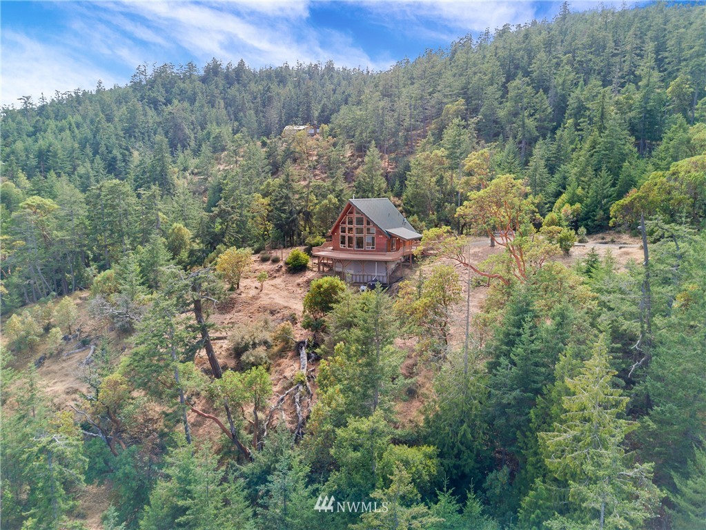 825 Julie Road Friday Harbor, WA 98250 - Photo 18 of 24 Gallery Image 18