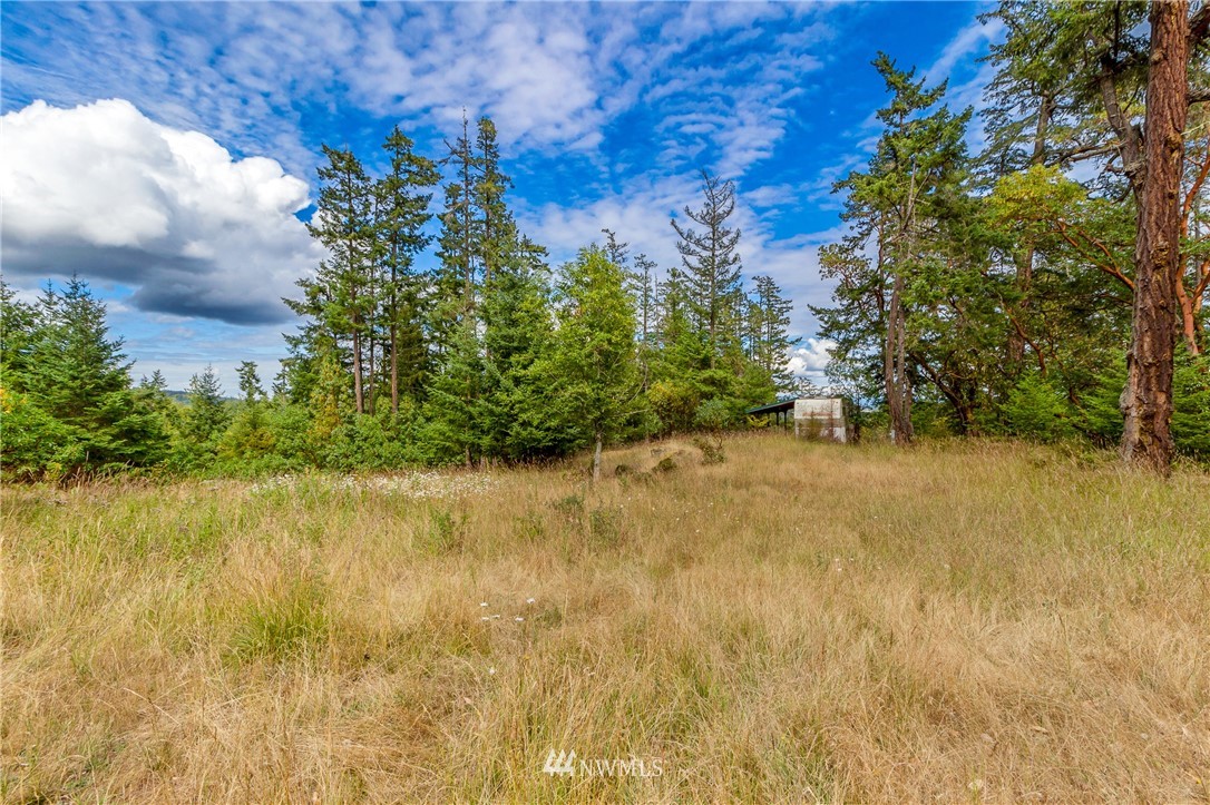 825 Julie Road Friday Harbor, WA 98250 - Photo 21 of 24 Gallery Image 21