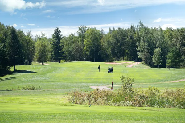 $40,000 | Tbd - Lot 2-blk 2 Tbd - Road, Coleraine, MN 55722