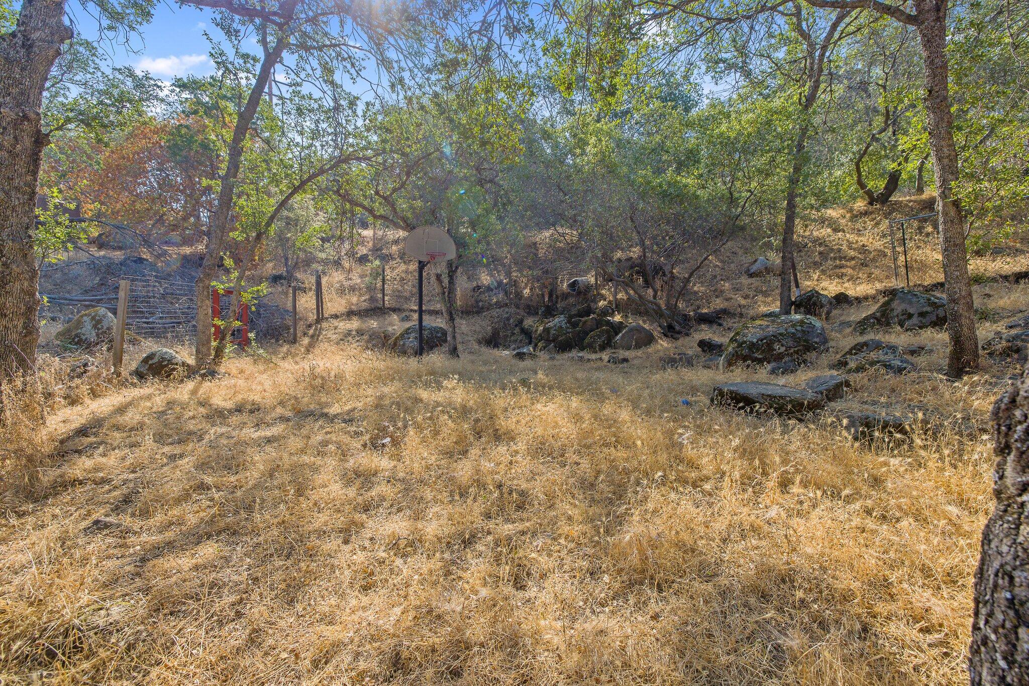 45287 Hammond Drive Three Rivers, CA 93271 - Photo 42 of 46 45-web-or-mls-713A0135