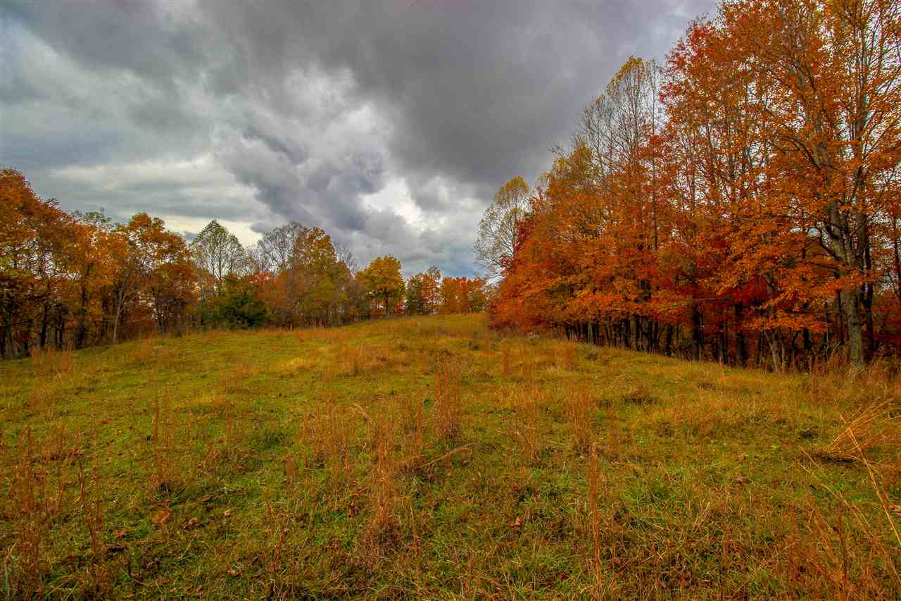 251 Adkins Ridge Road Branchland, WV 25506 - Photo 16 of 17 Gallery Image 16