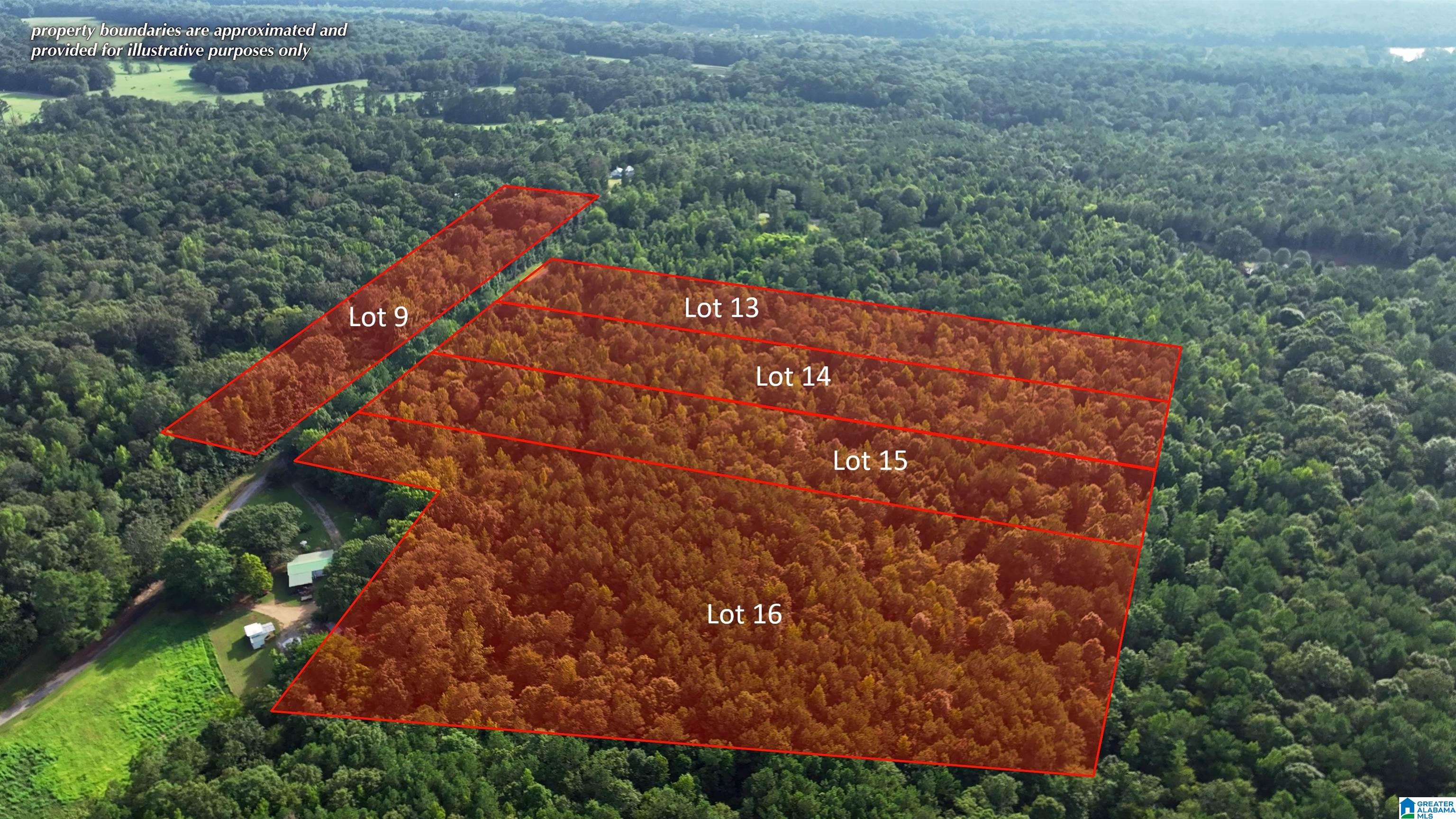 Lot 13 Wester Road, Unit LOT 13 Ragland, AL 35131 - Photo 4 of 9
