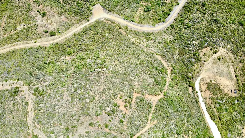 0 Sunset Peak Valley Center, CA 92082 - Photo 3 of 17 a close up of a tree