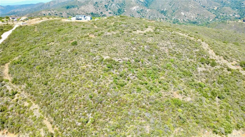 0 Sunset Peak Valley Center, CA 92082 - Photo 7 of 17 a close up of a plant with a yard