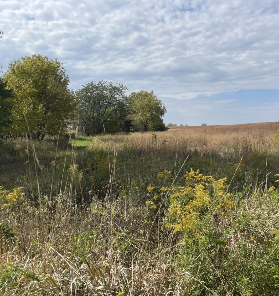 0 Morral-Kirkpatrick Road Morral, OH 43337 - Photo 18 of 24