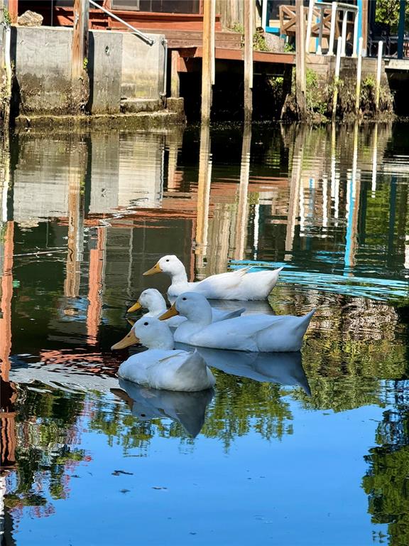 5527 Darlene Street Weeki Wachee, FL 34607 - Photo 34 of 44 Gallery Image 34