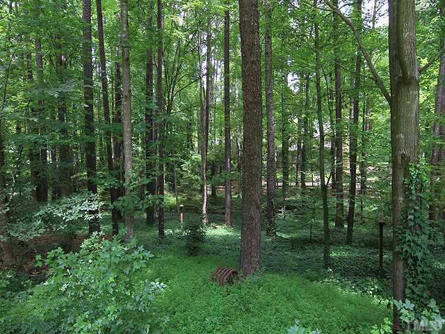 8728 Danbury Circle Raleigh, NC 27613 - Photo 23 of 25 No this is not Umstead Park, this is 8728 Danbury Circle. Welcome home! Ahhhhhh