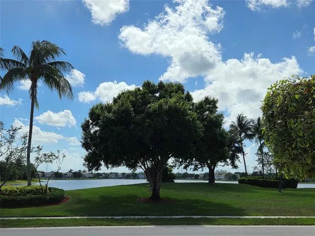a big yard with lots of palm trees