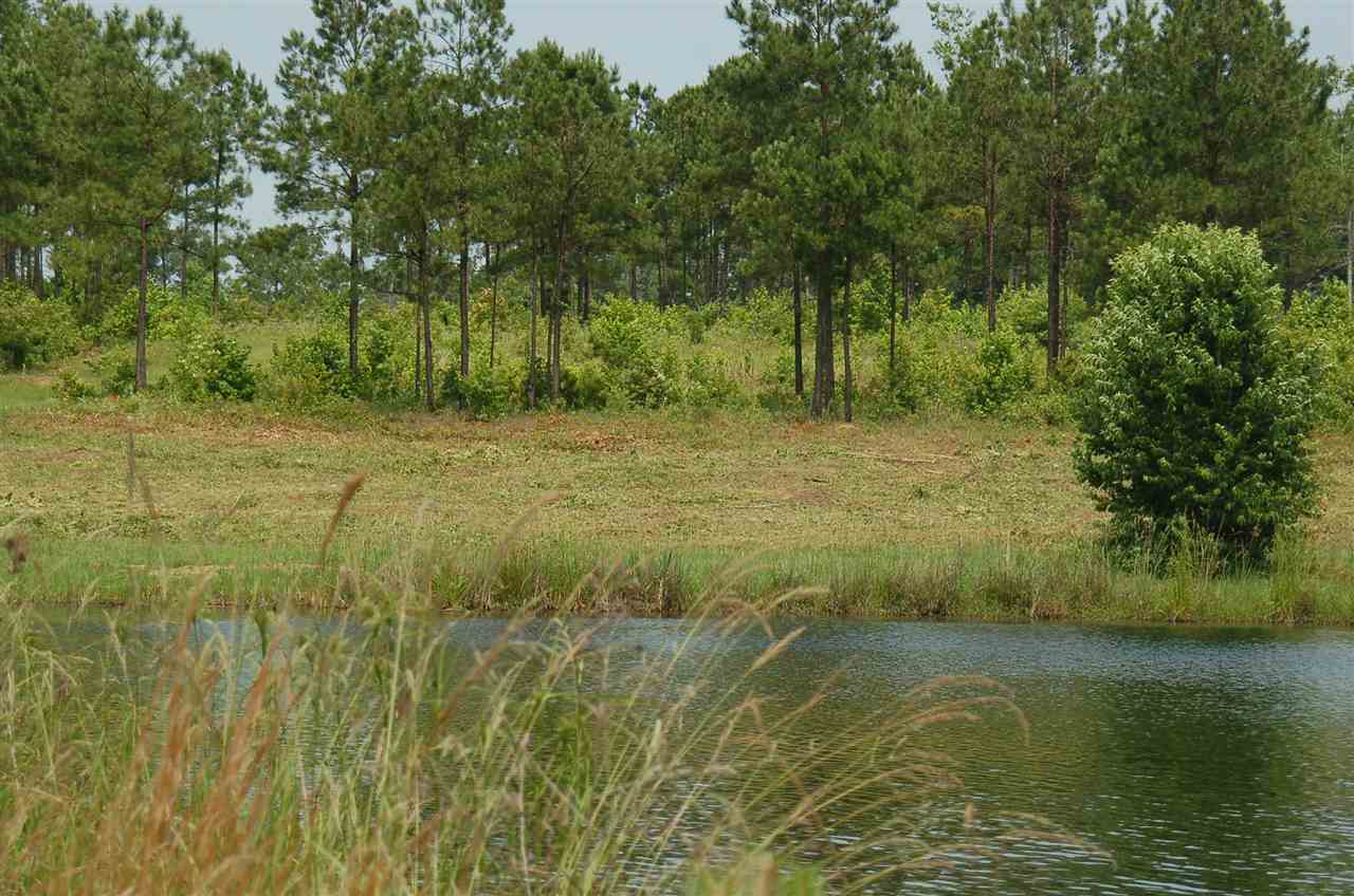 Bond Road, Unit ACREAGE Cairo, GA 39827 - Photo 3 of 7
