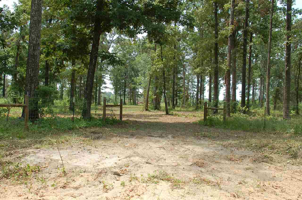Bond Road, Unit ACREAGE Cairo, GA 39827 - Photo 5 of 7