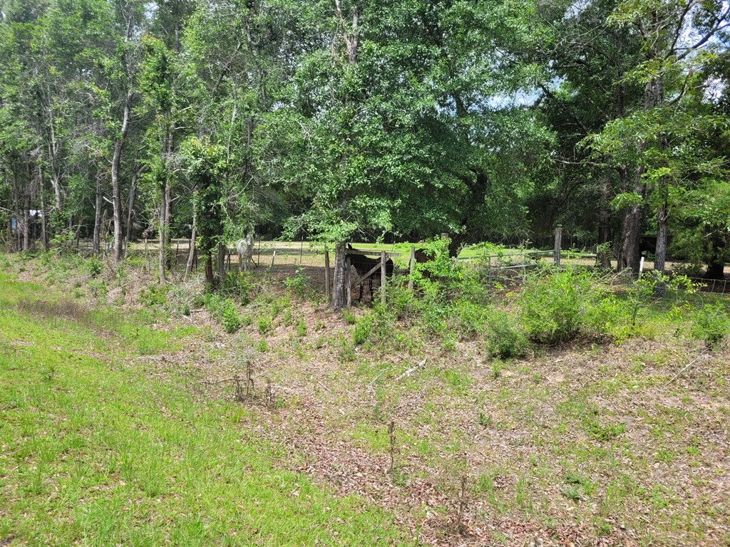 17639 North Creek Road Florala, AL 36442 - Photo 19 of 40