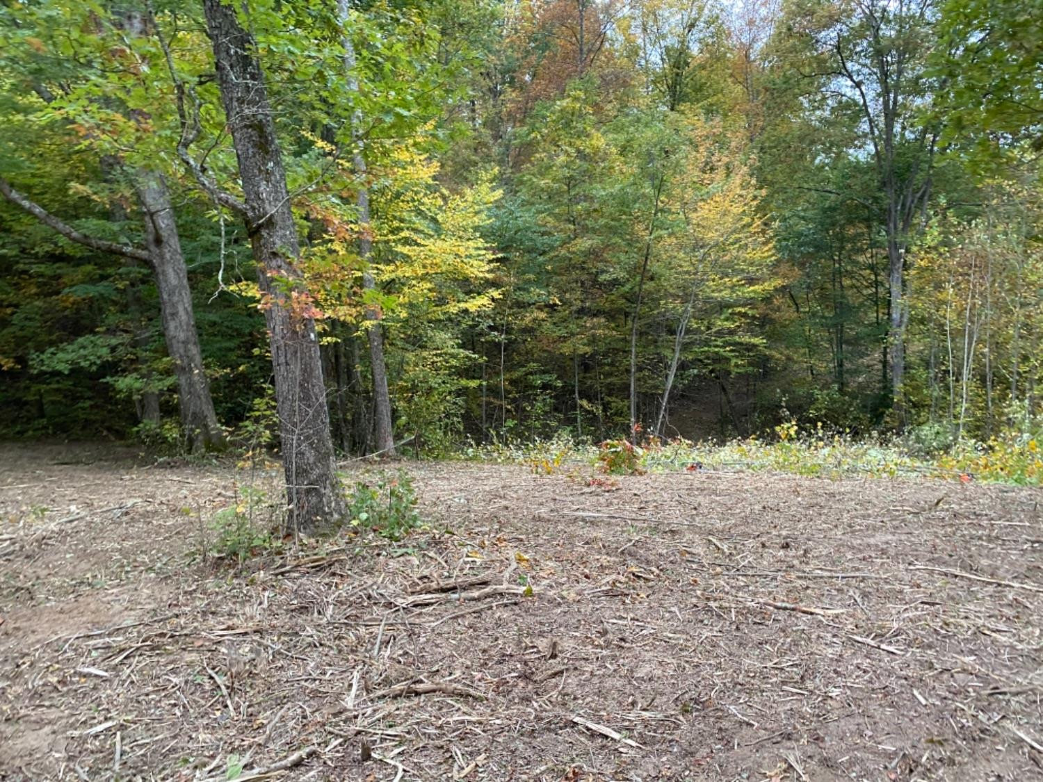 1 Brown Gabbard Road Booneville, KY 41314 - Photo 2 of 11 Photo 2