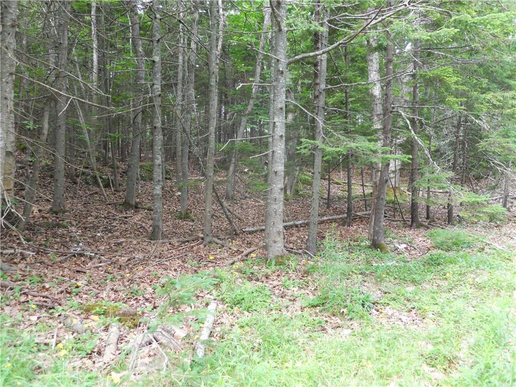 20-36 West Bay Road Islesboro, ME 04848 - Photo 5 of 9 Road front