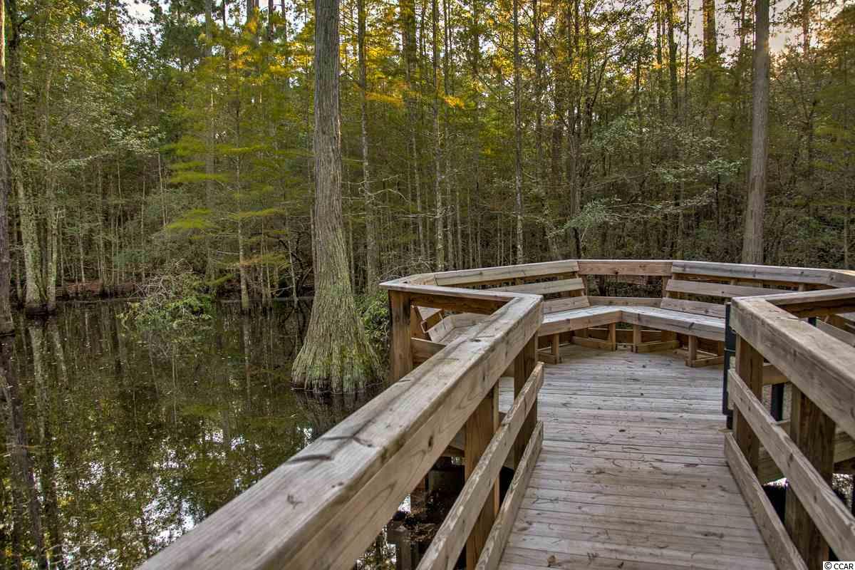 961 Refuge Way Murrells Inlet, SC 29576 - Photo 40 of 40