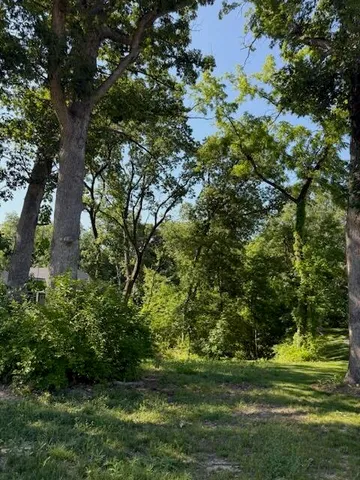 a view of a grassy field with an trees