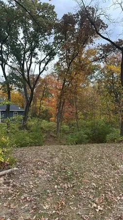 a view of backyard with green space