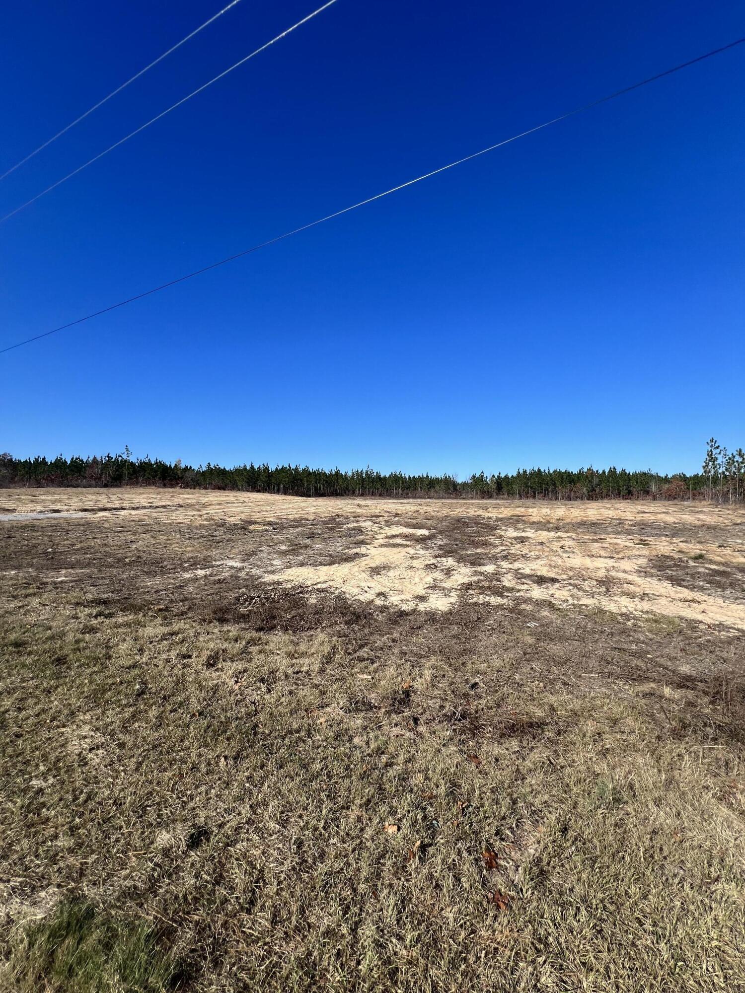 0 Old Chalk Bed Road, Unit 10 Batesburg, SC 29006 - Photo 7 of 8 Gallery Image 7