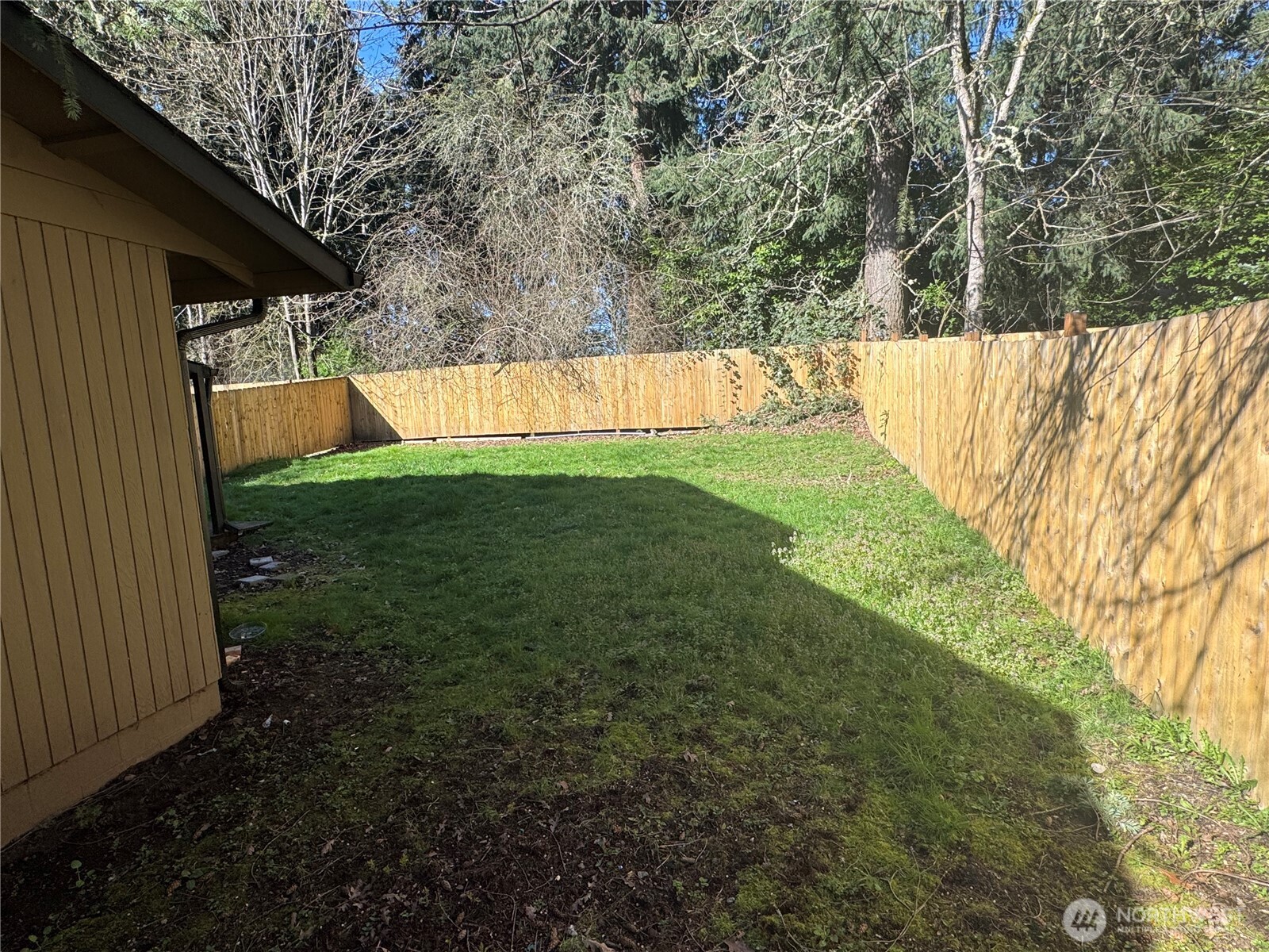5323 Rumac Street Southeast Lacey, WA 98513 - Photo 22 of 23 a view of a backyard with large trees