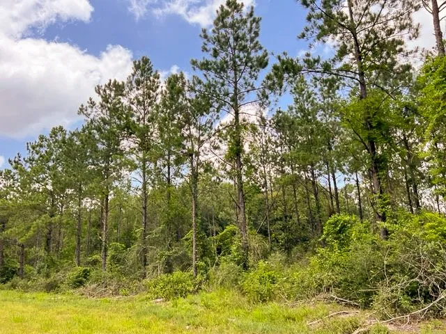 $160,512 | 0 County Road 1425, Warren, TX 77664