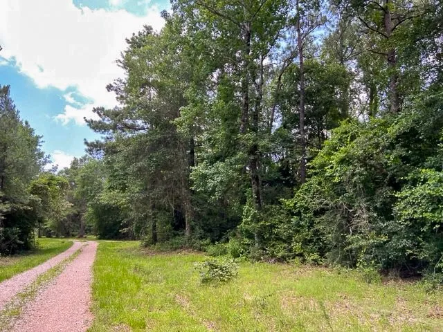 $160,512 | 0 County Road 1425, Warren, TX 77664