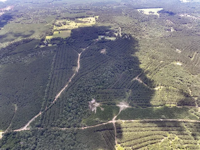 $160,512 | 0 County Road 1425, Warren, TX 77664