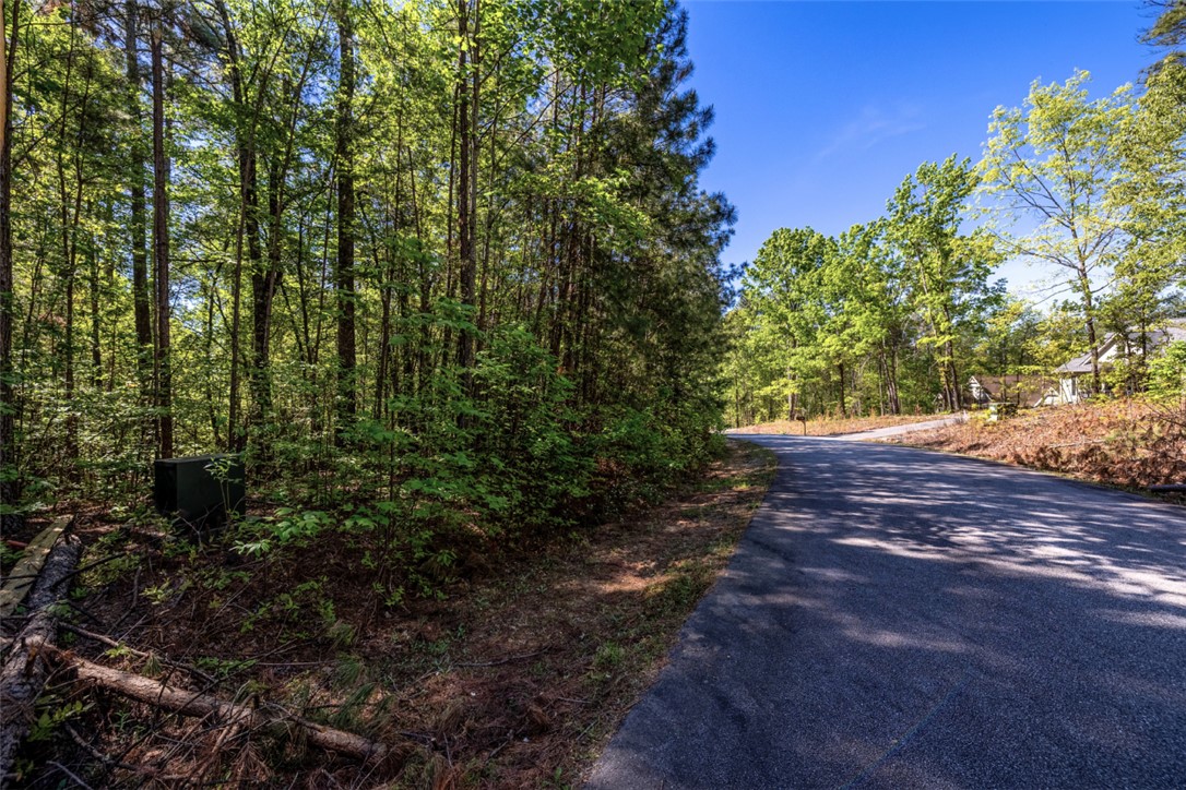 Lot E-31 Pine Ridge Way Salem, SC 29676 - Photo 3 of 16 This scenic lot offers a tranquil setting with ample trees, perfect for building a dream home.
