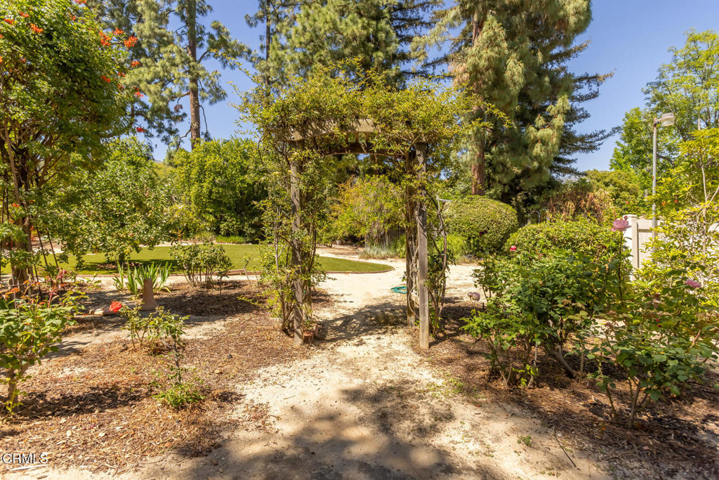 5029 Princess Anne Road La Canada Flintridge, CA 91011 - Photo 38 of 46 a view of a yard with plants and trees
