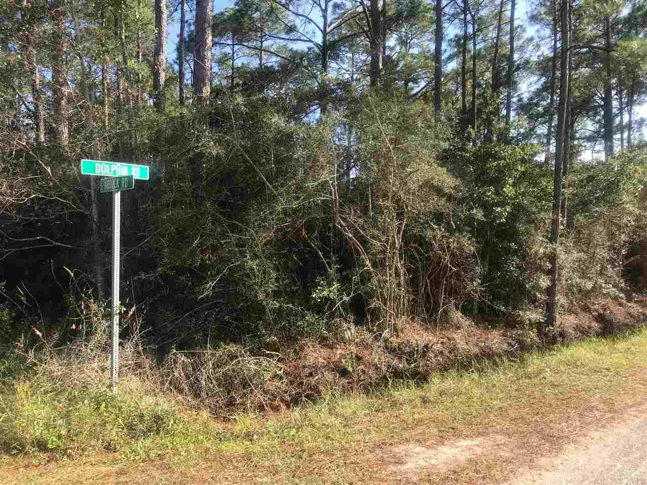 Lot 81 Dolphin Road Milton, FL 32583 - Photo 1 of 5 Gallery Image 1