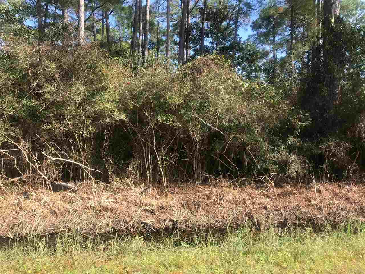 Lot 81 Dolphin Road Milton, FL 32583 - Photo 2 of 5 Gallery Image 2