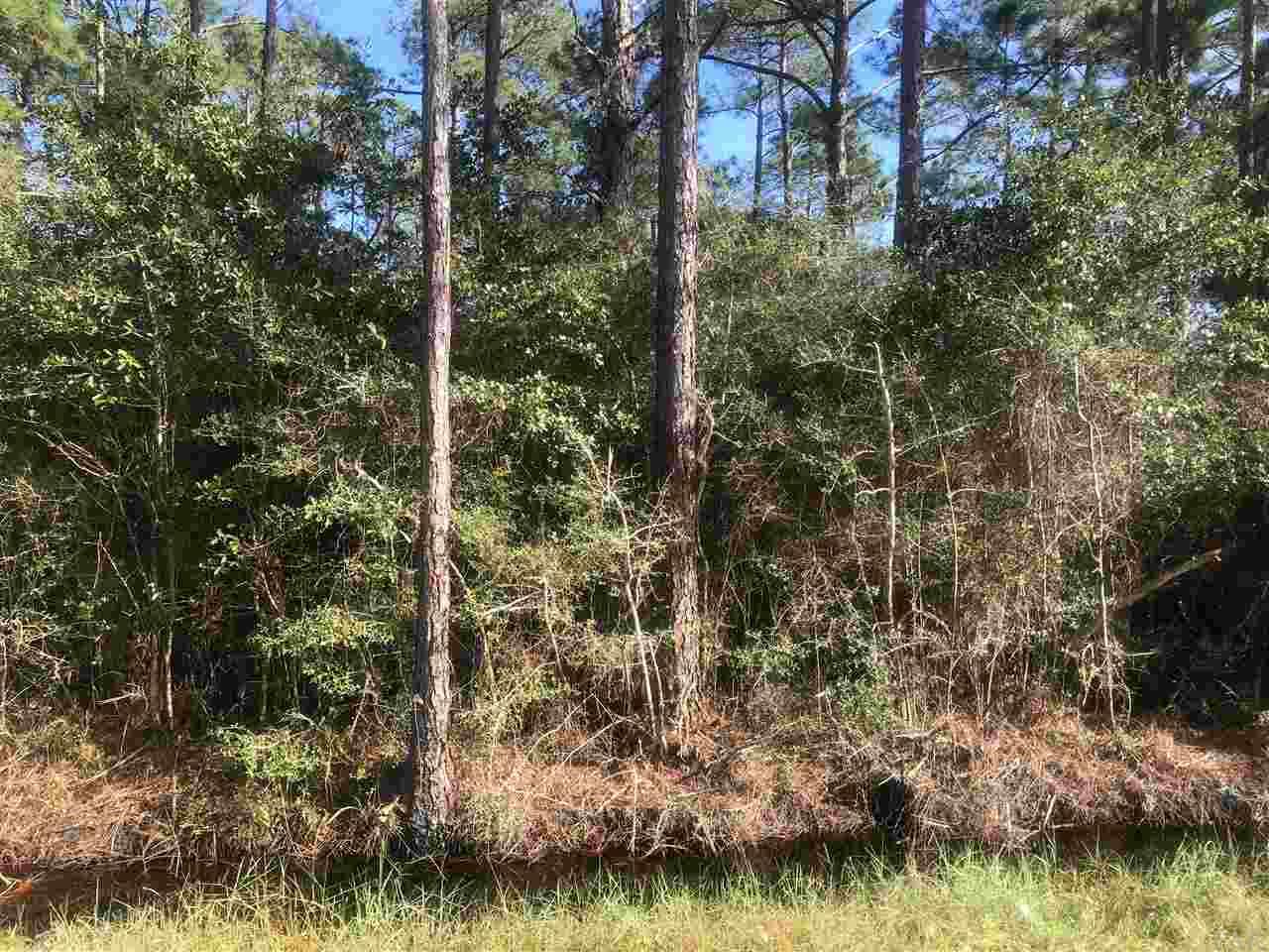 Lot 81 Dolphin Road Milton, FL 32583 - Photo 4 of 5 Gallery Image 4